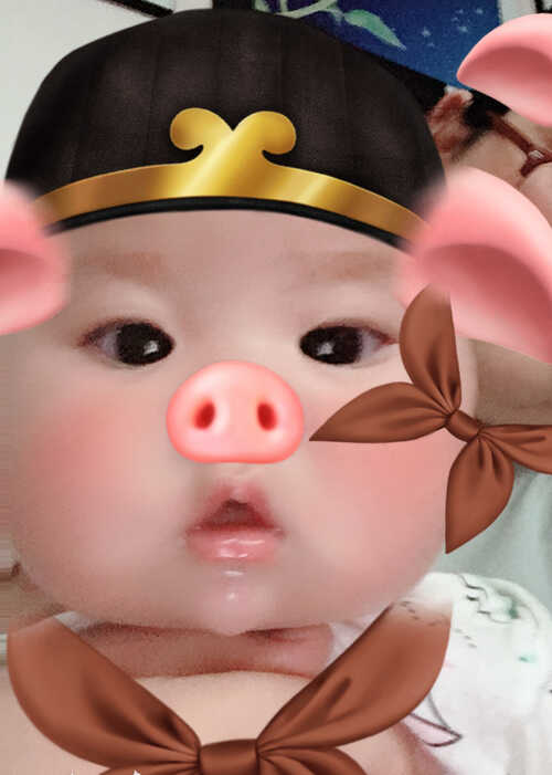 模特-