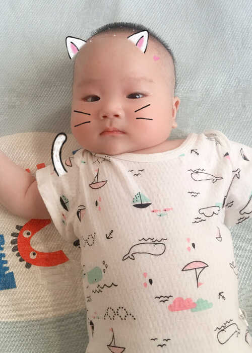 模特-