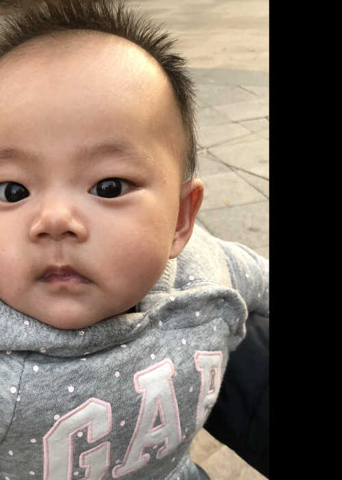 模特-