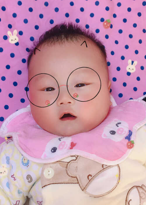 模特-