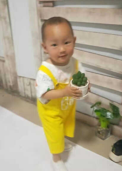 模特-