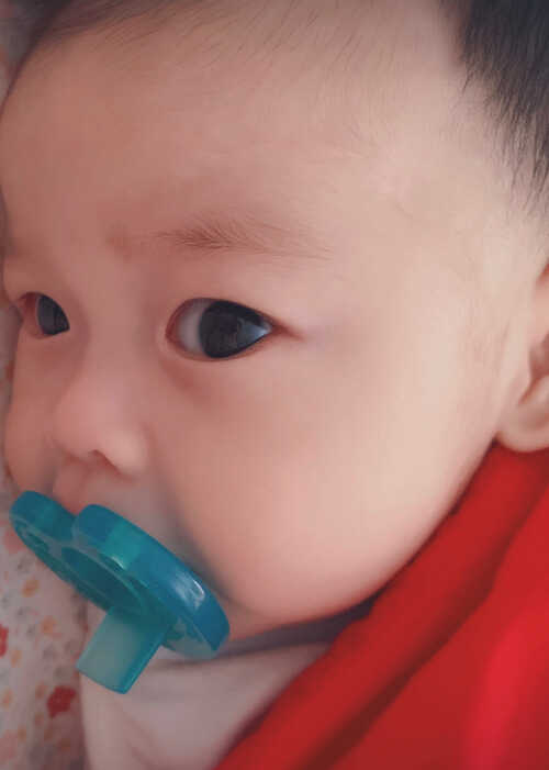 模特-