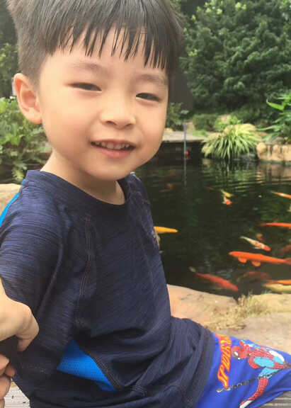 模特-