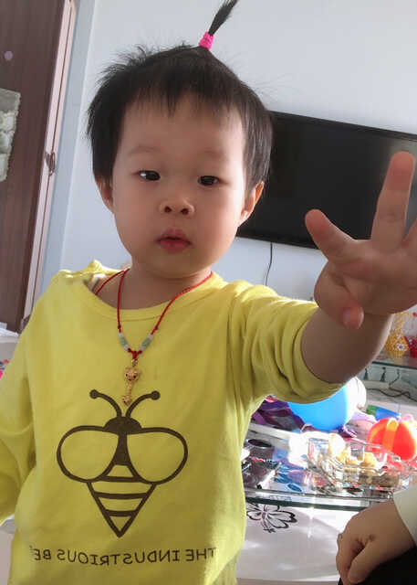 模特-