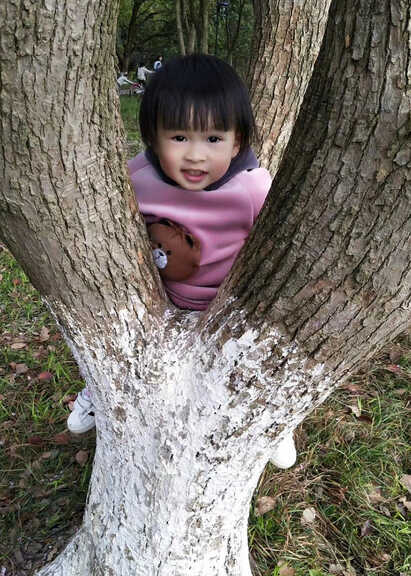 模特-