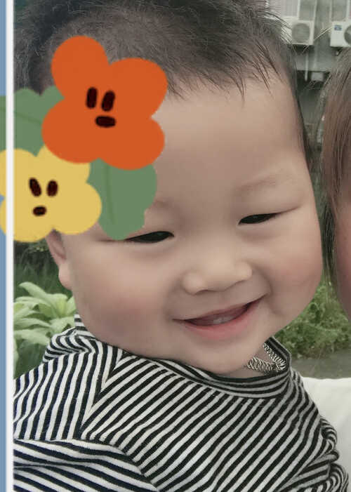 模特-