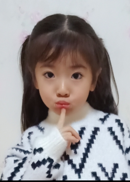 模特-