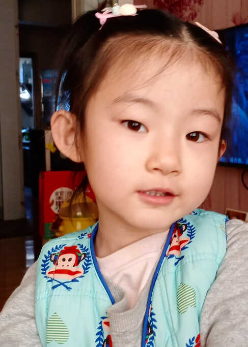 模特-