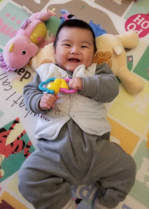 模特-