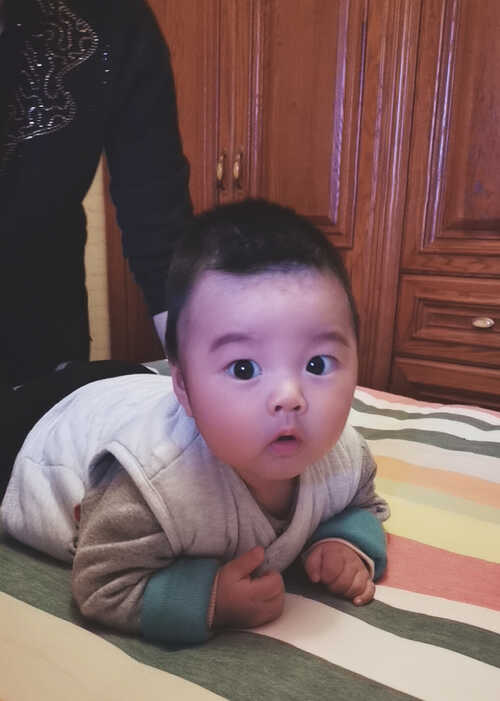 模特-