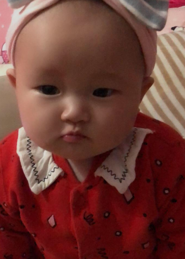 模特-