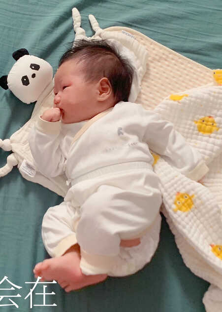模特-