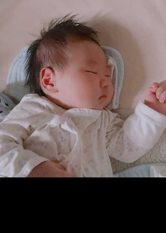 模特-