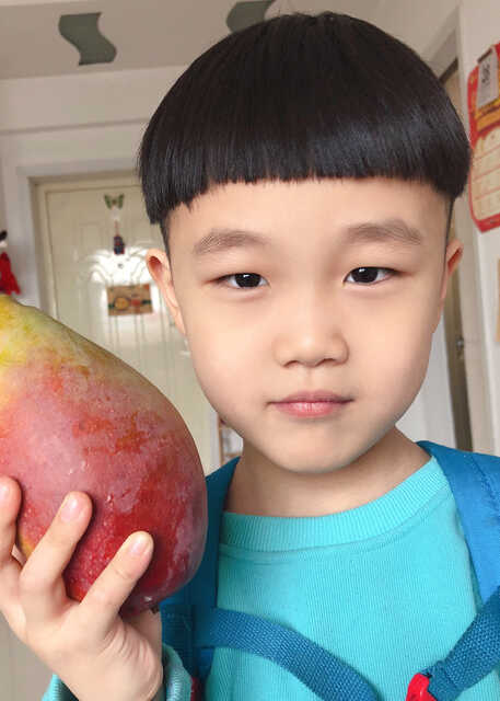 模特-