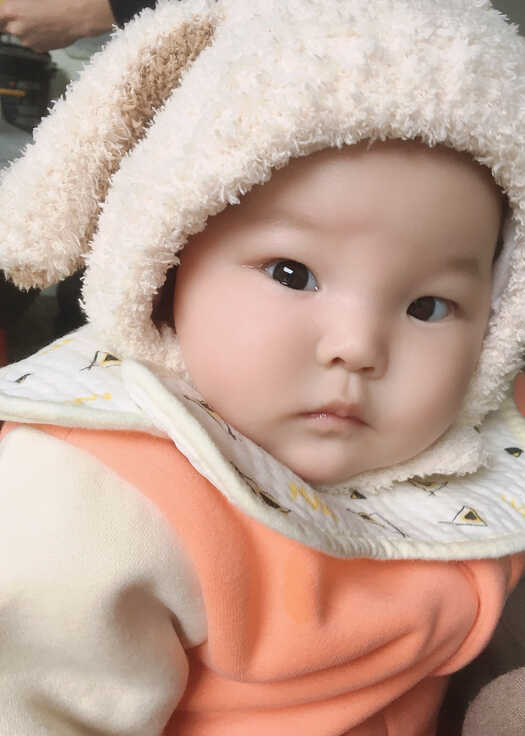 模特-