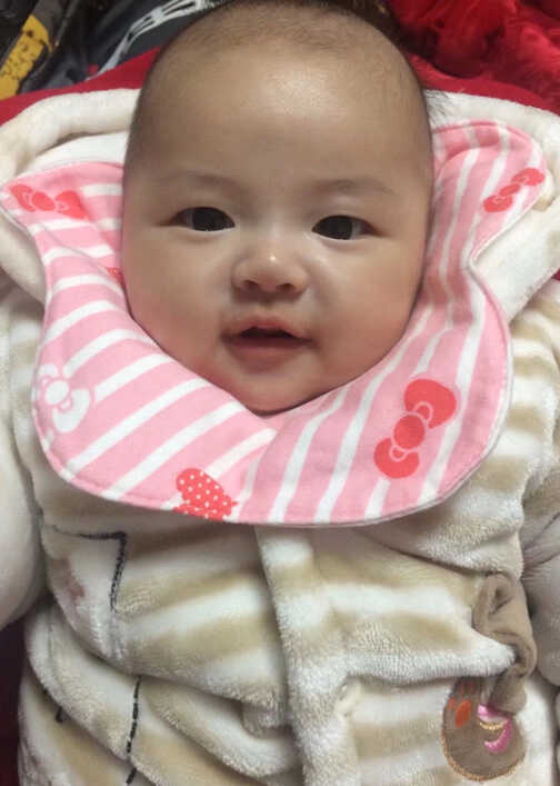 模特-