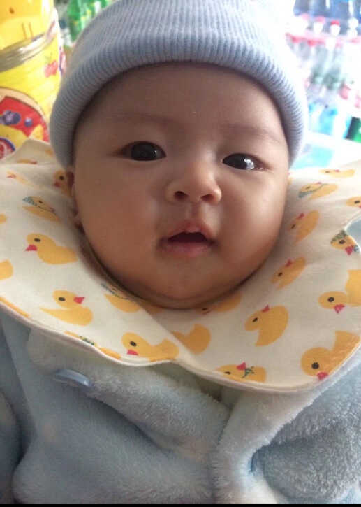 模特-