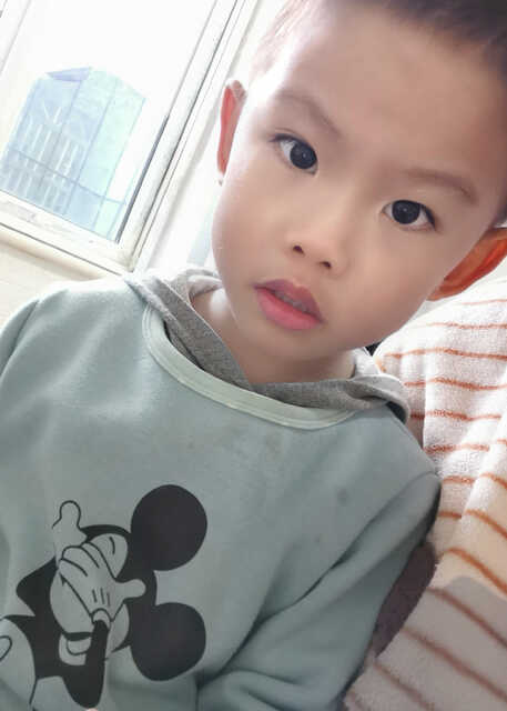 模特-