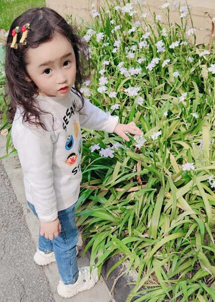 模特-