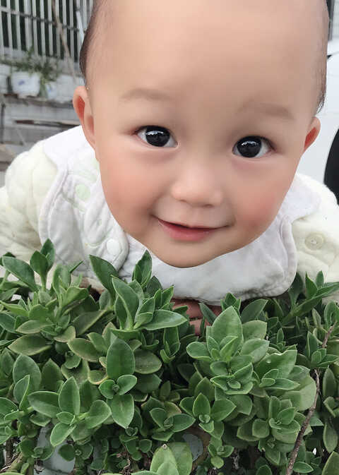 模特-