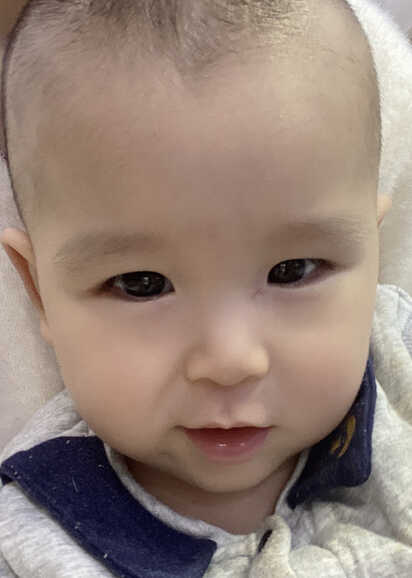 模特-