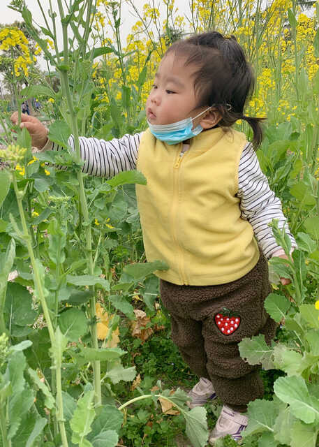 模特-