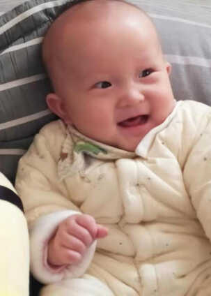 模特-
