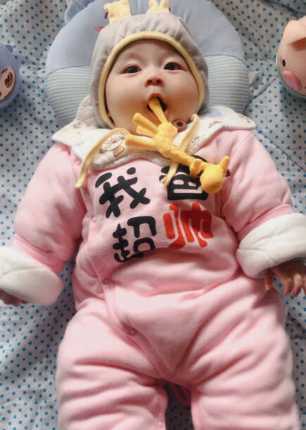 模特-