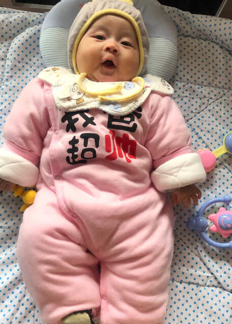 模特-