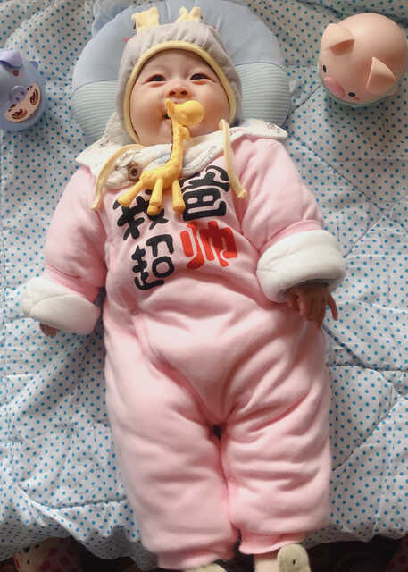 模特-