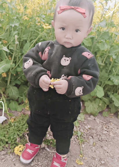 模特-