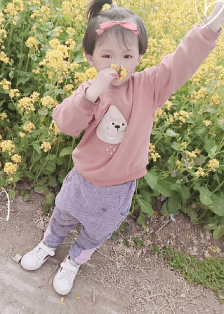 模特-