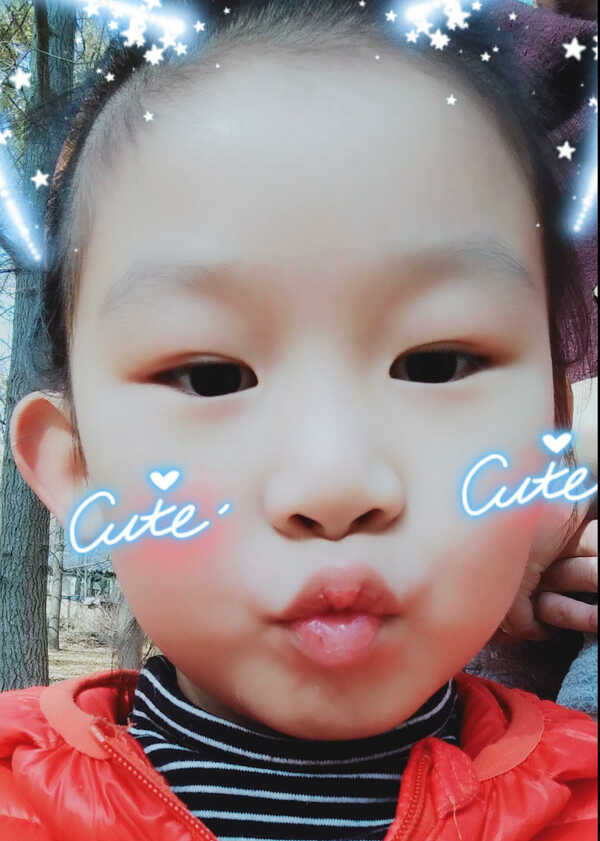 模特-