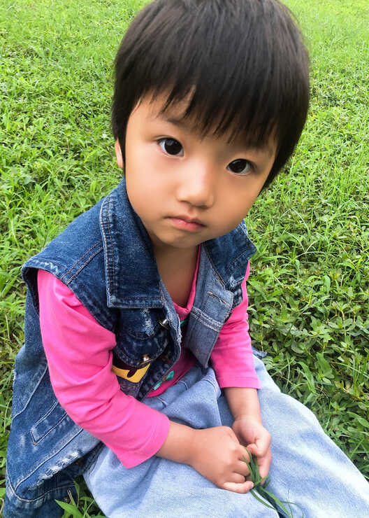 模特-