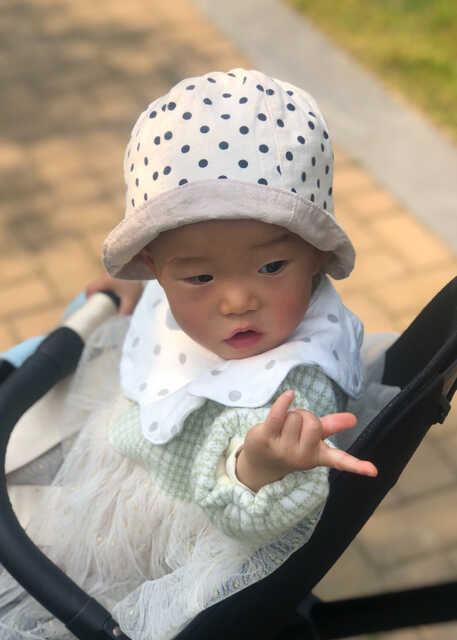 模特-