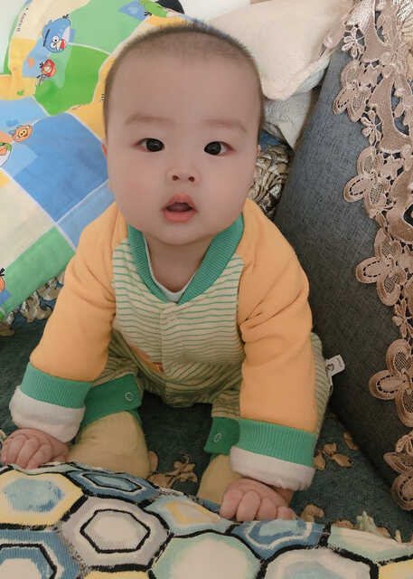 模特-
