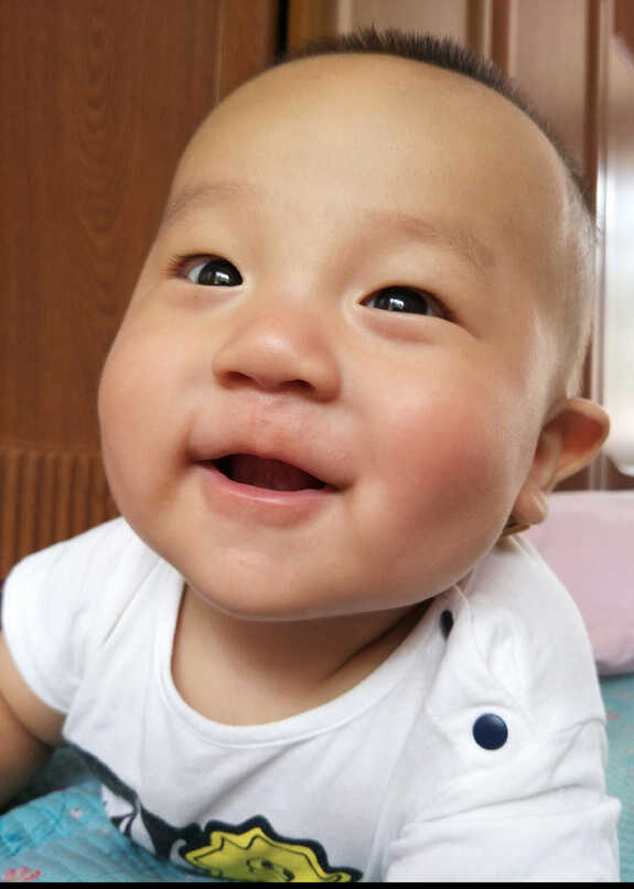 模特-