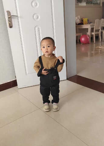 模特-