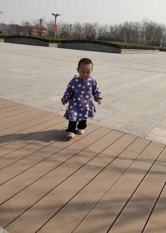 模特-