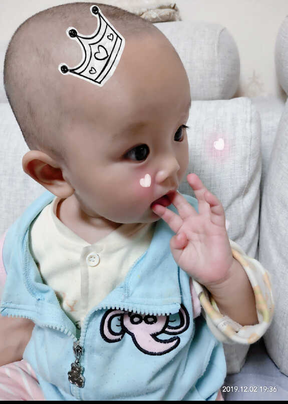 模特-