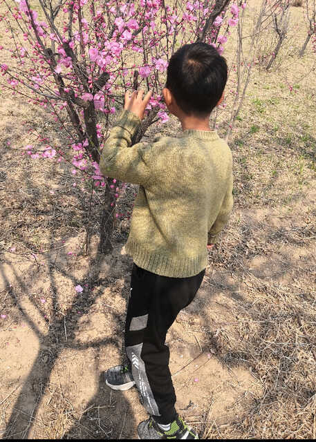 模特-