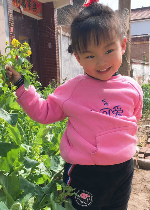 模特-