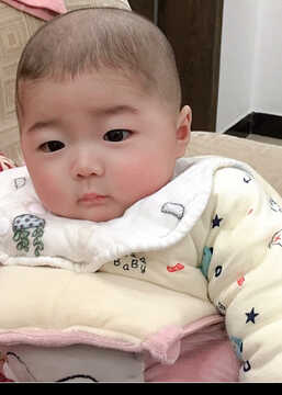 模特-