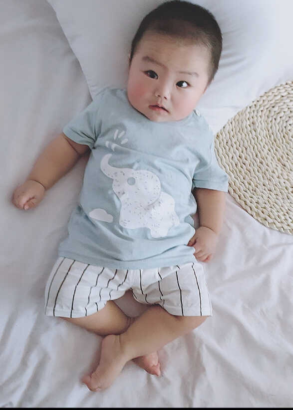模特-