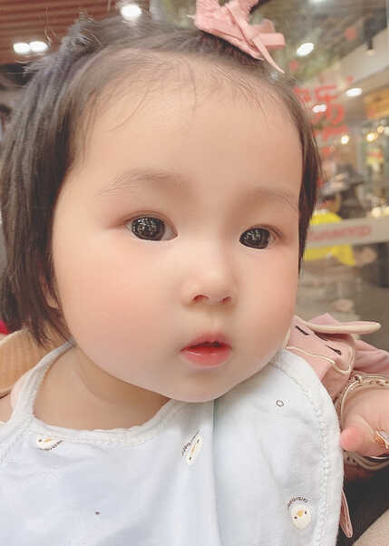 模特-