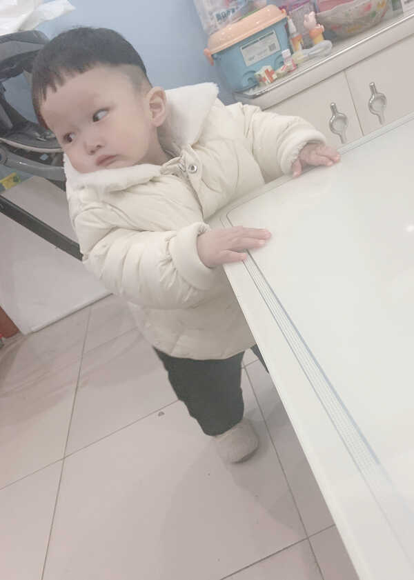 模特-