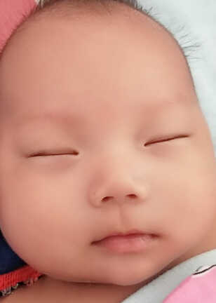模特-