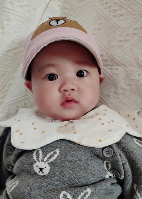 模特-