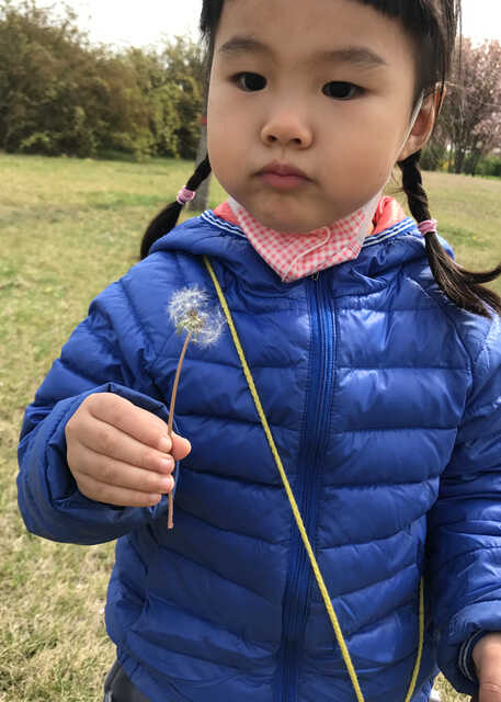 模特-