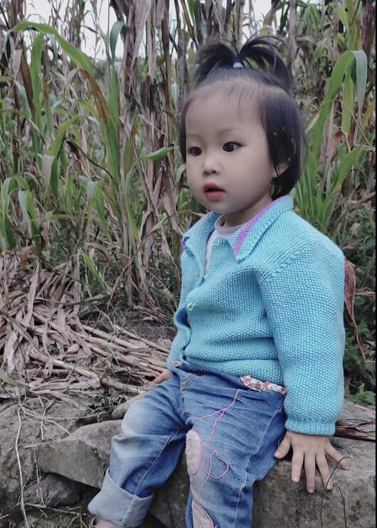 模特-